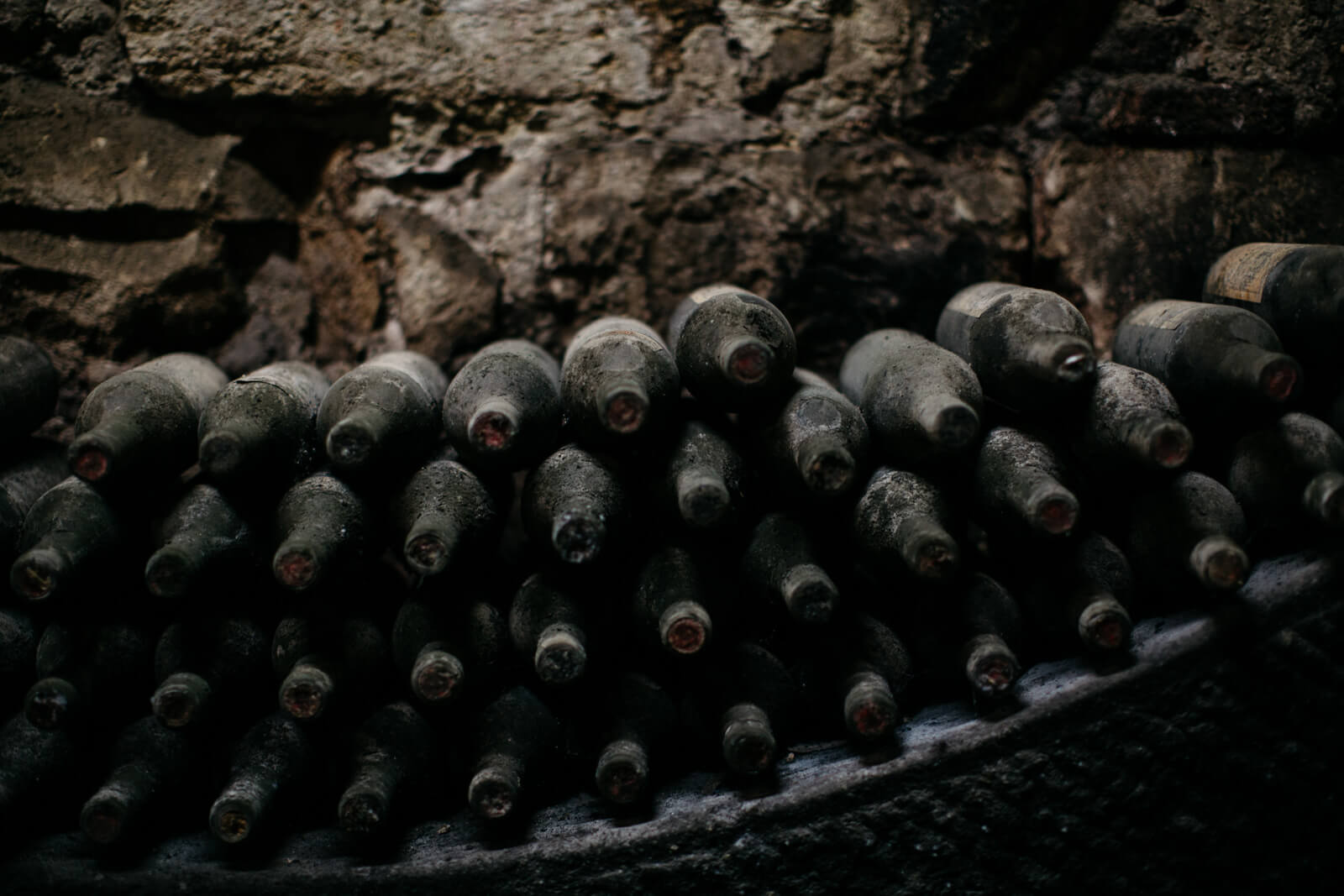 Old wine bottles covered in dusty