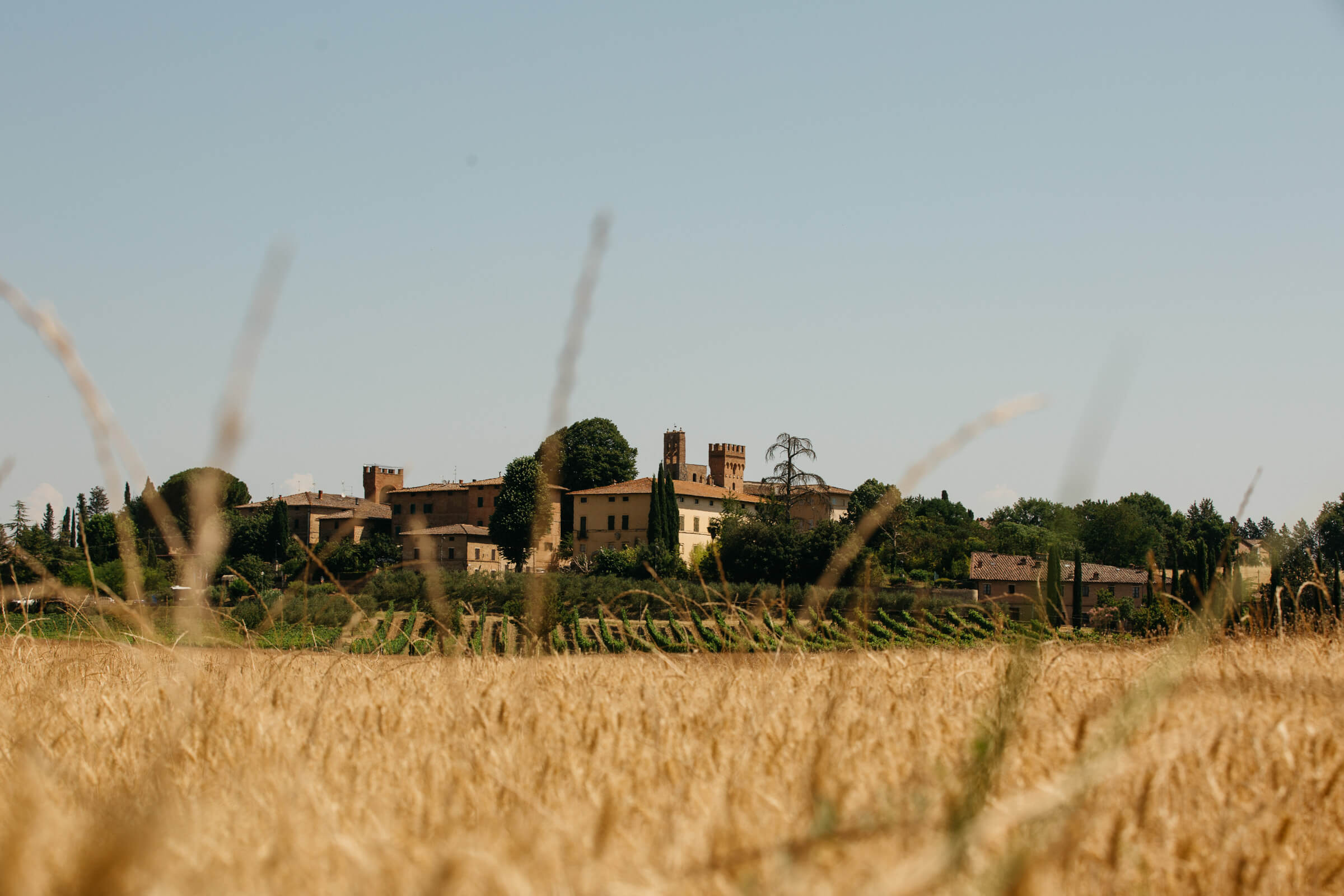 italian manor shot from a wheat field